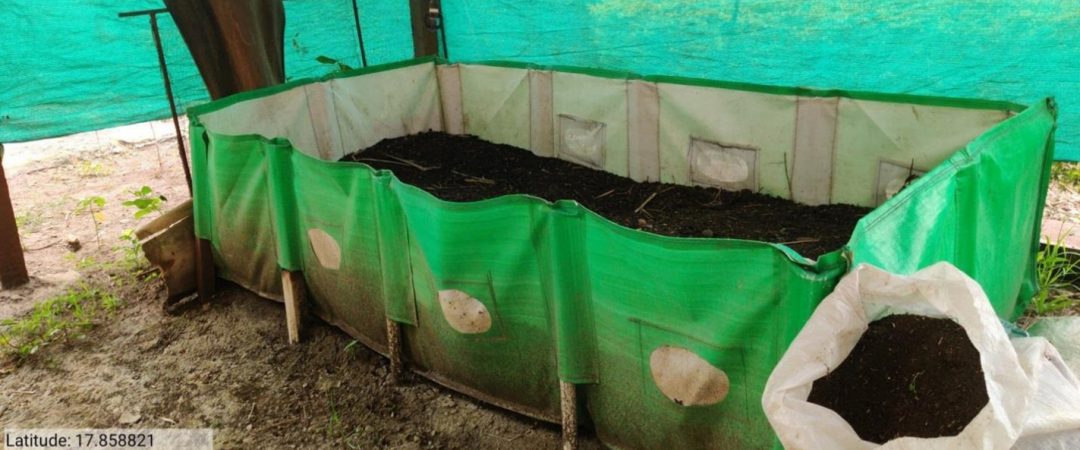 Vermicompost Plant